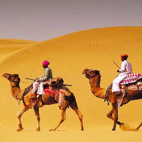 Camel Safari Tour package of Rajasthan